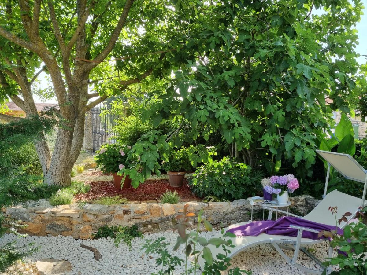 Villa Stonehouse Ana With Jacuzzi Rovinj-Krmed Extérieur photo