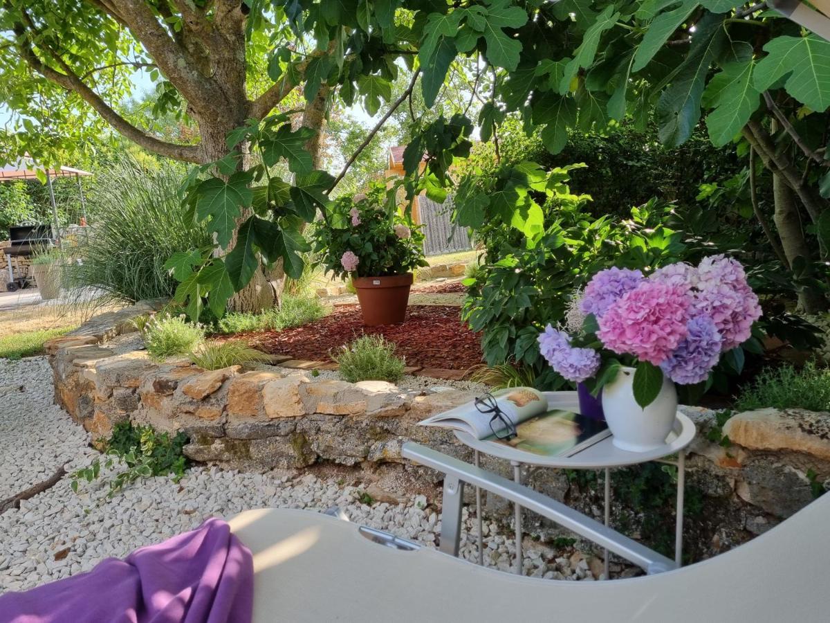 Villa Stonehouse Ana With Jacuzzi Rovinj-Krmed Extérieur photo